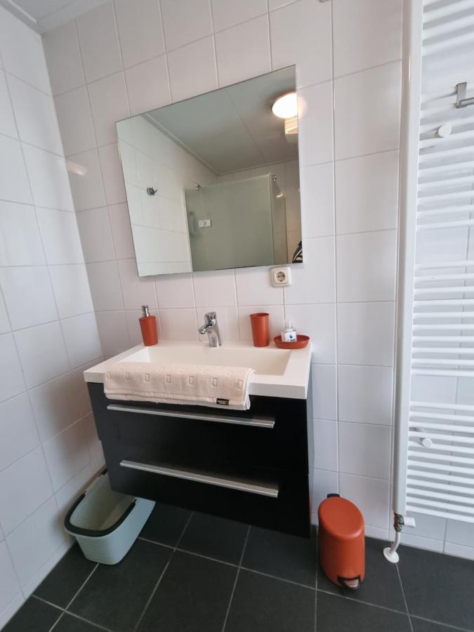 Rietmeer Friesland Holiday home